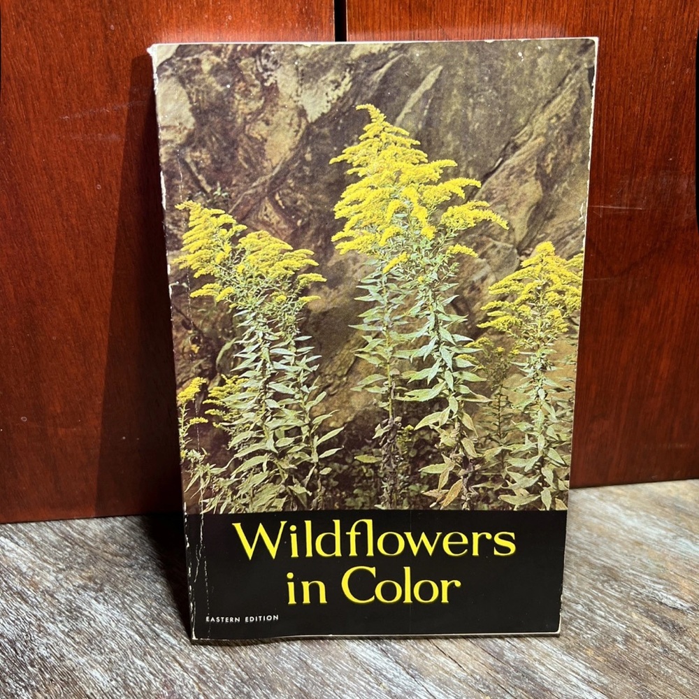 Vintage Wildflowers in Color Eastern Edition by Arthur Stupka 1965 Soft Cover